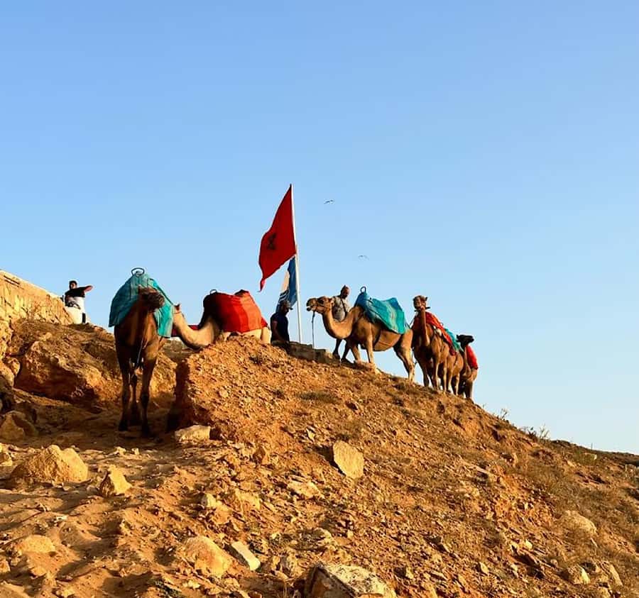 Tangier: Achakar Beach Sunset Camel Ride & Moroccan Dinner - The big idea: a real Tangier evening, not a checkbox day