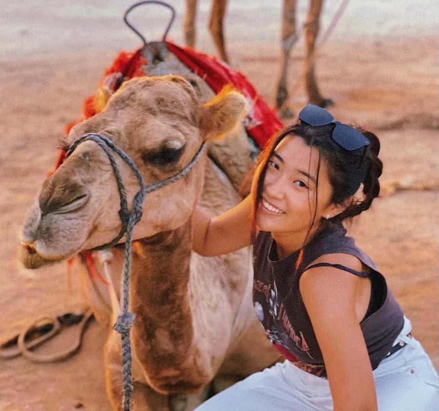 Tangier: Achakar Beach Sunset Camel Ride & Moroccan Dinner - Pickup from the Ancien Medina, then a scenic run through Tangier’s landmarks
