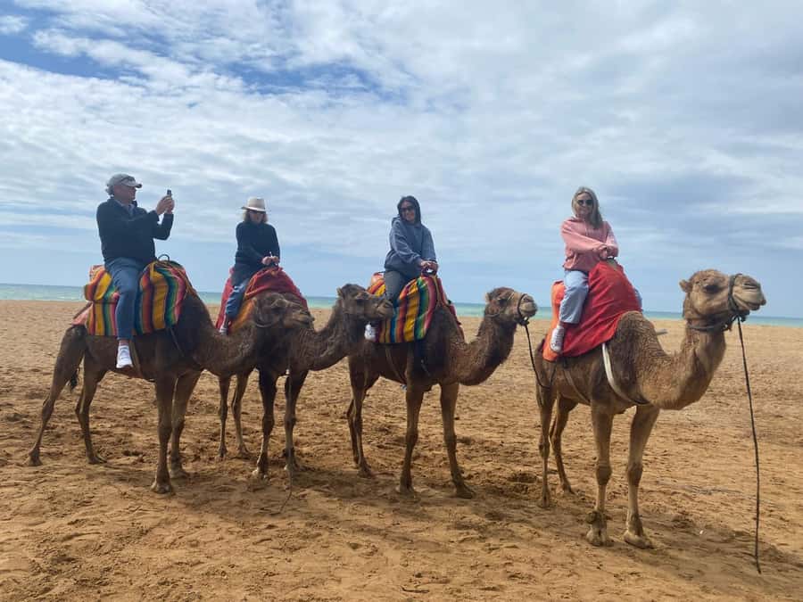 Tangier: Cap Spartel, Hercules Caves & Camel Riding - Should You Book This Tangier Camel, Caves, and Cap Spartel?