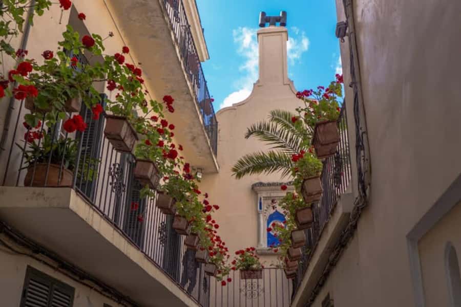 Tangier Half-Day Guided City Tour - Price and Logistics: Is $53 Good Value?