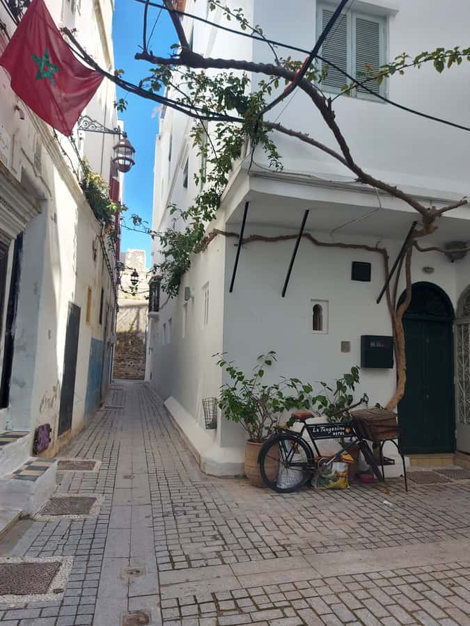 Tangier Highlights Private 6-Hour Tour - Medina walking: cafés, bazaars, and not getting lost