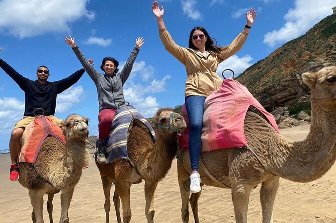 Tangier in a Day: From Medina Mystique to Ocean Views - How a private half-day in Tangier hits the big contrasts