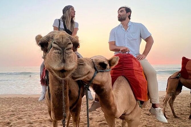 Tangier Package: Camel Ride, Cap Spartel, Hercules Caves & Dining - Getting Oriented Fast in Tangier’s Best Half-Day Route