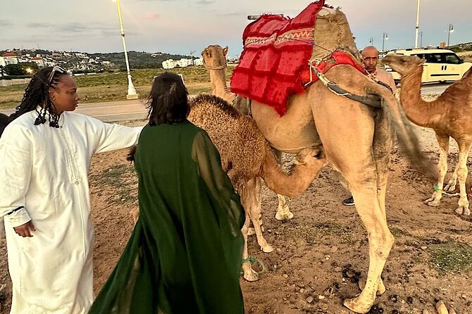 Tangier Package: Camel Ride, Cap Spartel, Hercules Caves & Dining - Parc Perdicaris Stop: Gardens, Views, and the Ion Perdicaris Story