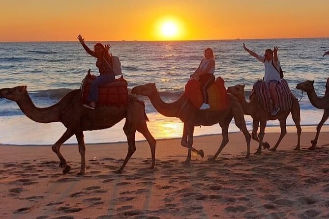 Tangier Package: Camel Ride, Cap Spartel, Hercules Caves & Dining - Cape Spartel and Hercules Caves: Sea Views Plus a Legend