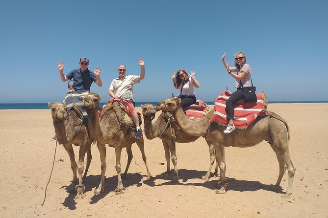 Tangier Private Full Day Tour From The Cruise Ship all inclusive - Key highlights worth planning for