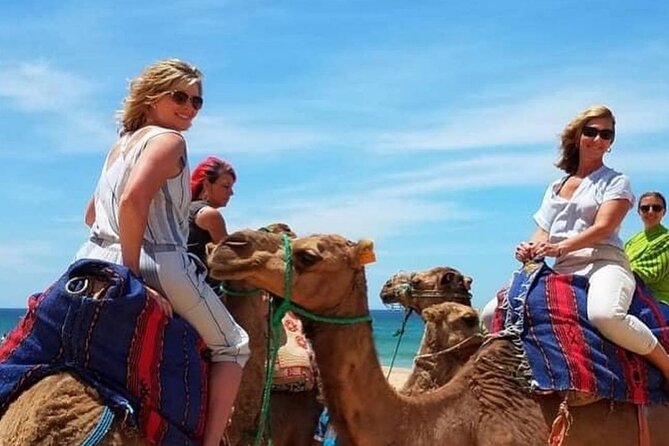 Tangier Private Sightseeing Day Tour - Parc Perdicaris and the Marshan Stops You Can Fit In