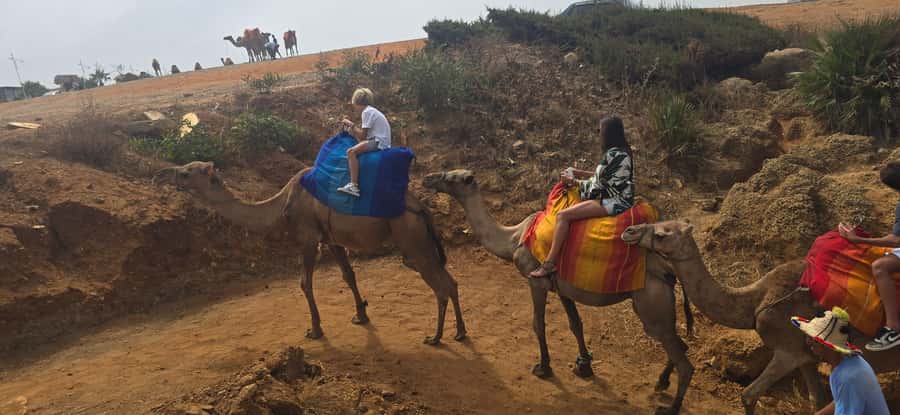 Tangier Private Tour: Explore And Camel Ride Adventure - Shopping in the Medina: how to browse without getting lost or pressured