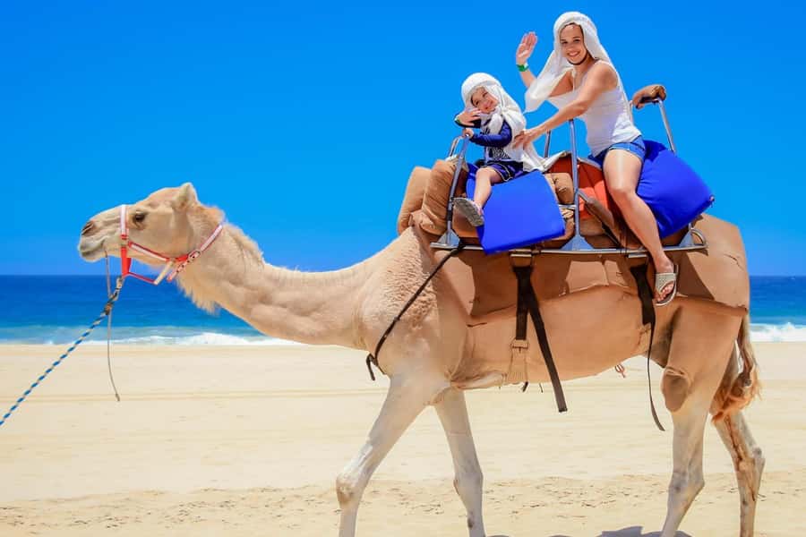Tangier: sunset, tea, camel ride, Cape Spartel and caves. - Tea at sunset and the “secret” scenic stop