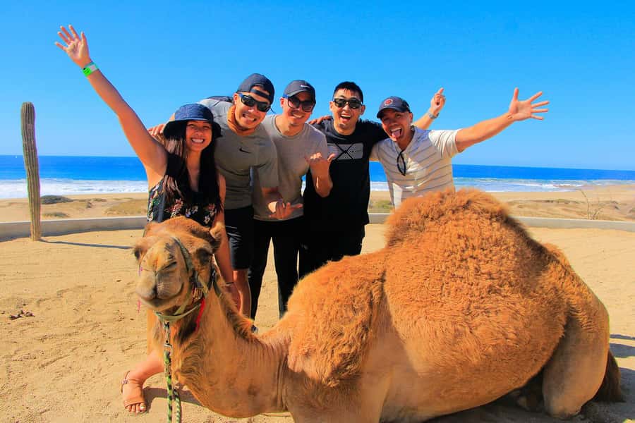 Tangier: sunset, tea, camel ride, Cape Spartel and caves. - Should you book this Tangier sunset camel and caves tour with IHSSAN TOURS?