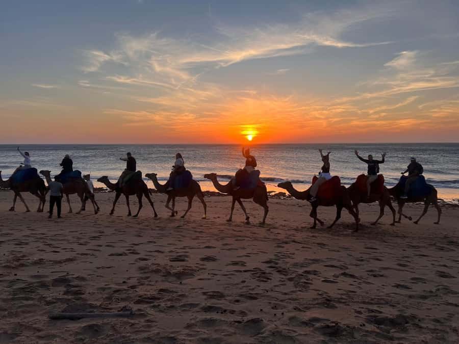 Tangier: Sunset, Tea, Sweets, Camel Ride, and Hercules Caves - Who This Tour Is Best For (And Who Might Skip It)