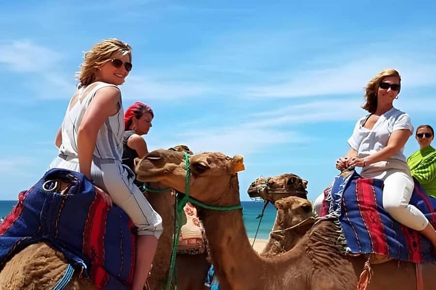 Tarifa/Algeciras: Tangier Private Day Tour with Ferry Ticket - Grand Socco and Petit Socco: markets, landmarks, and a quick local rhythm