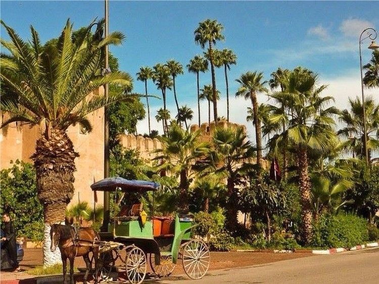 Taroudant and Tiout Oasis Trip With Lunch - Key Things That Make This Trip Work