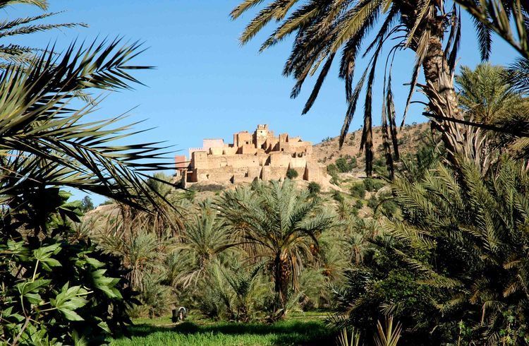 Taroudant and Tiout Oasis Trip With Lunch - Guide Quality Makes the Difference, So Choose Your Attitude