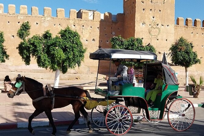 Taroudant & Tiout Day Trip Tour - Why Taroudant and Tiout makes a great day out from Agadir