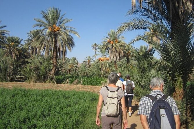 Taroudant & Tiout Day Trip Tour - Price and value: what you actually get for $47.12