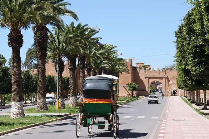 Taroudant + Tiout excursion 1 day with homestay lunch from agadir - Optional Donkey Ride Through the Palm Grove