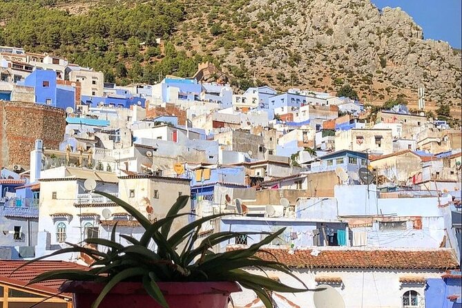Tetouan & Chefchaouen Blue City Day Trip from Tangier - Who this tour is best for