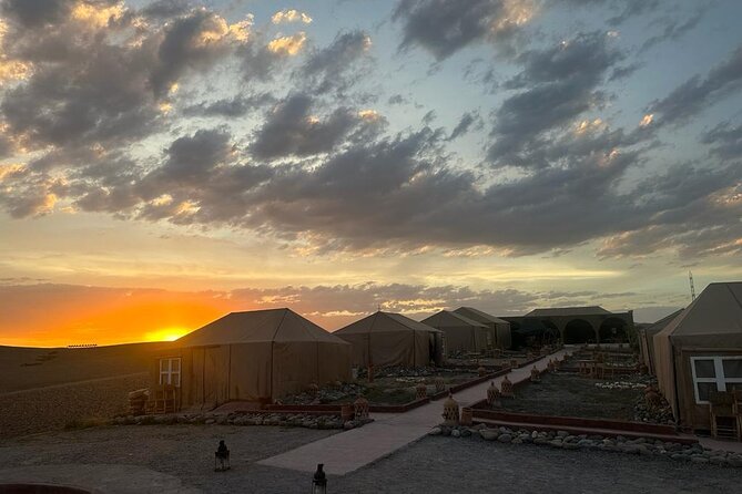 The Agafay Desert: Quad, Dromedary, Dinner and Show - The show: Gnawa, dancers, fire-eater, and African dance