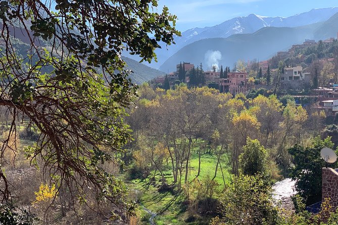 The Atlas Mountains and 5 Valleys Day Trip from Marrakech with Berber Lunch - Argan oil and pottery: how the stops connect to the valley