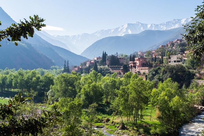 The Atlas Mountains and the 3 valleys with a delicious lunch in a Berber house - Ourika Stop: Market Time and a Waterfall Walk With a Local
