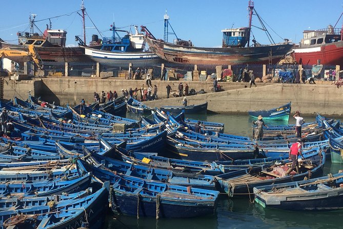 The Charms of Essaouira Mogador and the Argan tree Forests - Key points to know before you go