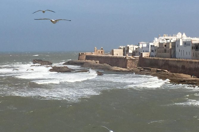 The Charms of Essaouira Mogador and the Argan tree Forests - The Marrakech-to-Essaouira Ride, and Why It Starts Early