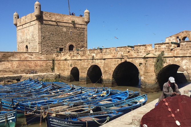 The Charms of Essaouira Mogador and the Argan tree Forests - Skala du Port Ramparts: Ocean Views Worth the Wind