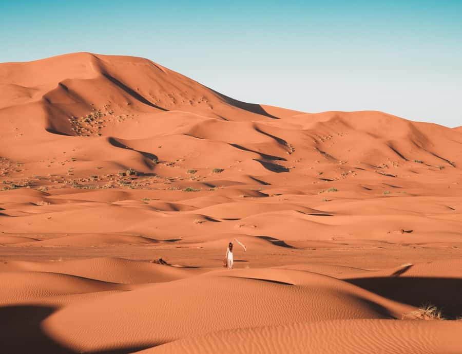 the luxury 2days 1night desert tour from fez to fez/marakech - Key highlights you should care about