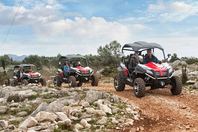 Top Packages Activities Discover Agadir and Morroco ® - Price and value: $184.29 per person, and how to judge it