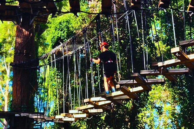 Top Rated Atlas Mountains Zipline from Marrakesh - Who should book this zipline day trip