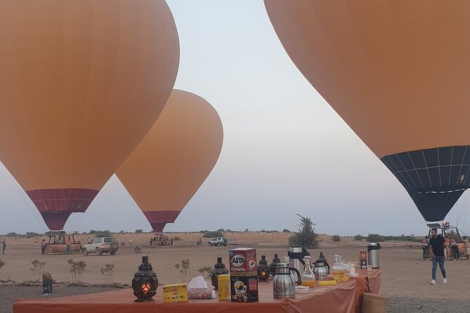 Top vip one hour private flight royal breakfast on board - The Palm Grove and Free Camel Ride: Fun, With a Realistic Lens
