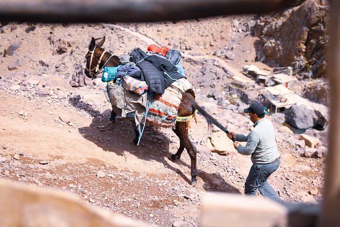 Toubkal Trekking 2 Days - Day 2: the early summit push to Jbel Toubkal 4,167m
