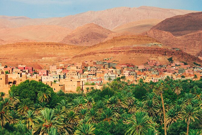 Tour from Ouarzazate to Vallee Du Draa and Dunes Of Tinfou - A Draa Valley day that feels human, not rushed