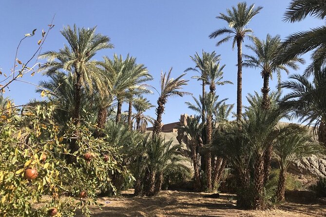 Tour from Ouarzazate to Vallee Du Draa and Dunes Of Tinfou - Tinfou Dunes: a dromedary ride plus real sand time
