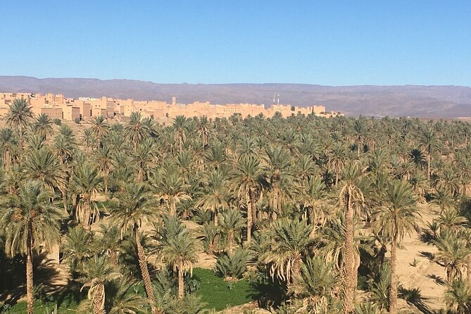 Tour from Ouarzazate to Vallee Du Draa and Dunes Of Tinfou - The Draa Valley ride back toward Ouarzazate