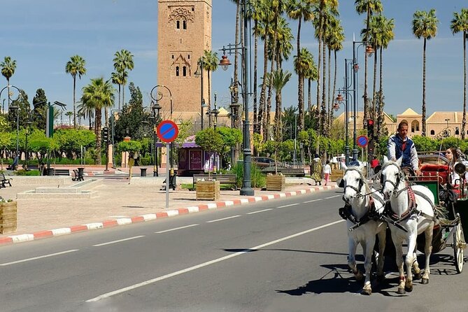 tour of marrakech-medina, souks, secret gardens,Madrassa& stories - Spices, argan oil, and a certified pharmacy stop