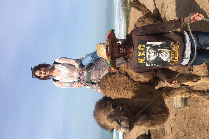 Tour of Tangier 1-2 people with camel ride - Who This Tour Suits Best (and Who Might Want a Different Plan)