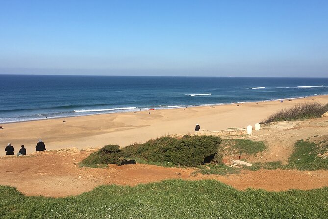 Tour of Tangier 3-6 people - Parc Perdicaris: a forest stop that sets the tone