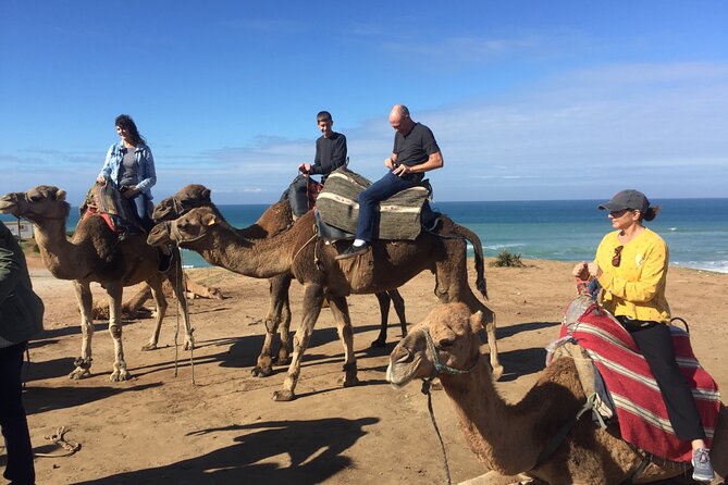 Tour of Tangier 3-6 people - The Medina of Tangier: where you slow down and actually experience the city