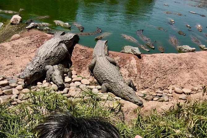 Trip To Croco Park - How drivers and guides shape the whole experience