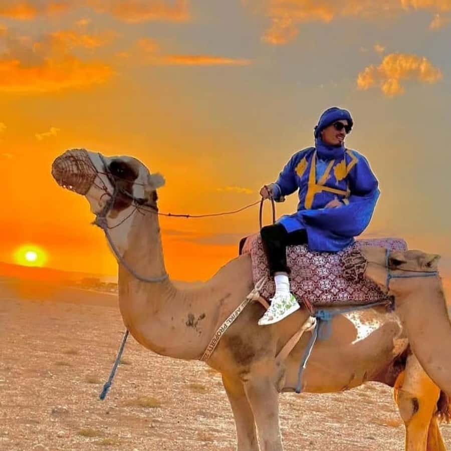 Unforgettable Desert Night: Dinner, Camel Ride & Quad Bike - Camel ride: the slower, more photogenic pace