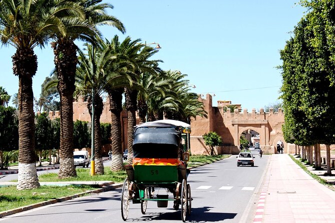 Visit Taroudant and Tiout 1 day From Agadir - Tiout Oasis and the Hilltop Kasbah Panoramas