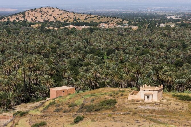 Visit Taroudant and Tiout 1 day From Agadir - What to Pack and Extra Costs Like Donkey Rides