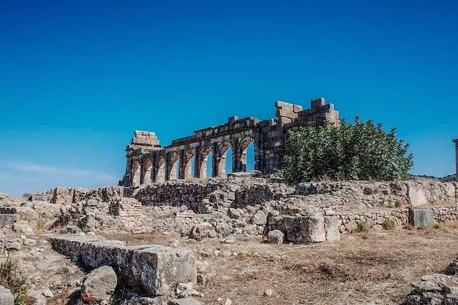 Volubilis and Meknes day trip from Fez - Timing, pacing, and how to make the most of your free time