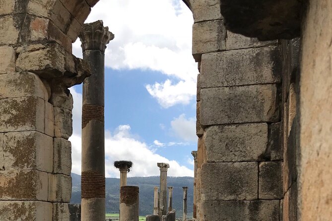 Volubilis, Moulay Idriss and Meknes Day Trip from Fez - Who this trip suits best, from families to ruins lovers