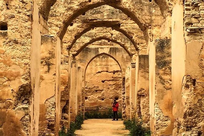 Volubilis, Moulay Idriss & Meknes Excursion from Fez - Volubilis, UNESCO Roman ruins: the walk that sells itself