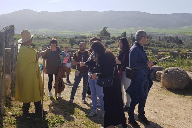 Volubilis mulay idriss and meknas tour - Moulay Ismail Mausoleum: the calm break with mosaics worth slowing down for