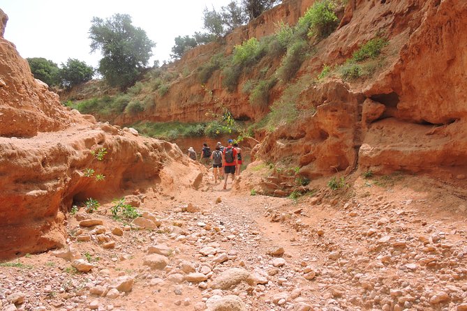 Walk between Argan Forest, Ocean & Waterfalls. 12 km - Argan Forest, Ocean, and Waterfalls: What This 12 km Day Really Feels Like