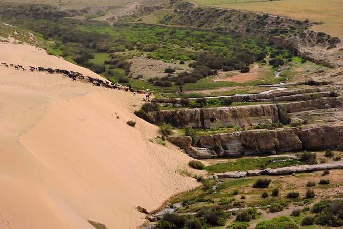 Walk between Argan Forest, Ocean & Waterfalls. 12 km - Price and Value: What $75.49 Buys You Here